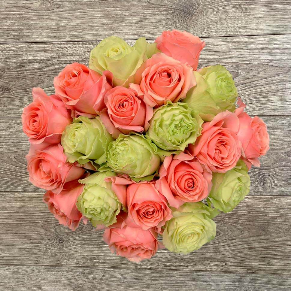 Green Packaged Roses Green Rose Bouquets | Green Roses Delivery – Rosaholics