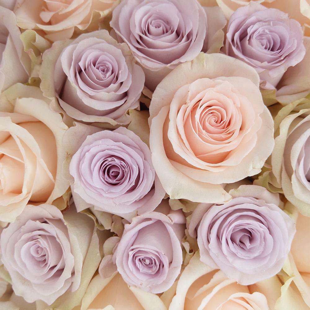 Cielito Lindo Fresh Rose Bouquet close - Rosaholics