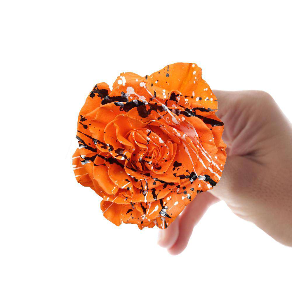 Orange rose from Trick or Treat Bouquet