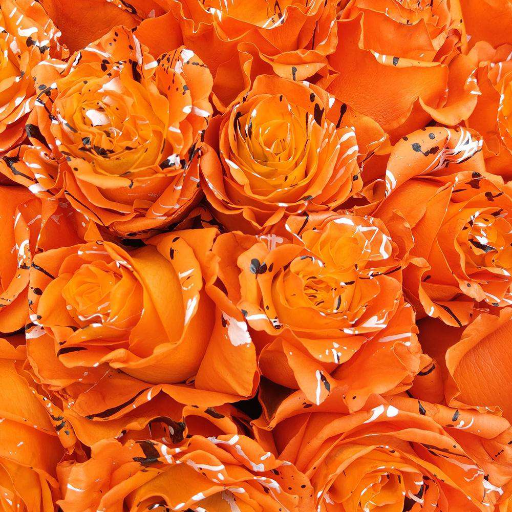 Close-up of Trick or Treat Rose Bouquet
