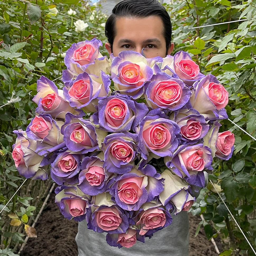 Pink and purple rose bouquet by Rosaholics