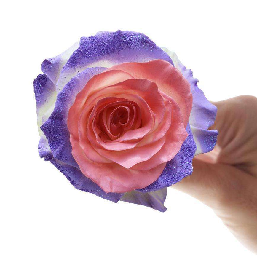 UNICORN - Rosaholics