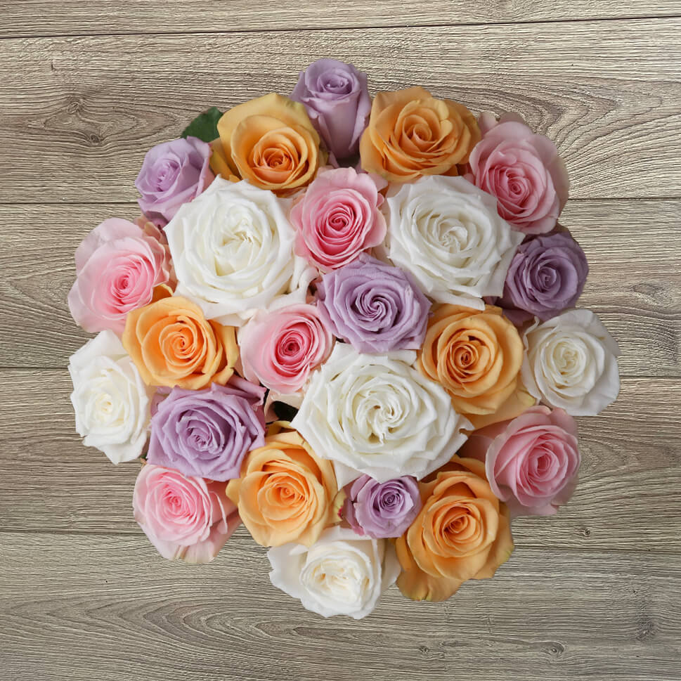 Rosa Loves Me  Peach and Pink Garden Rose - Exclusive Flowers Online