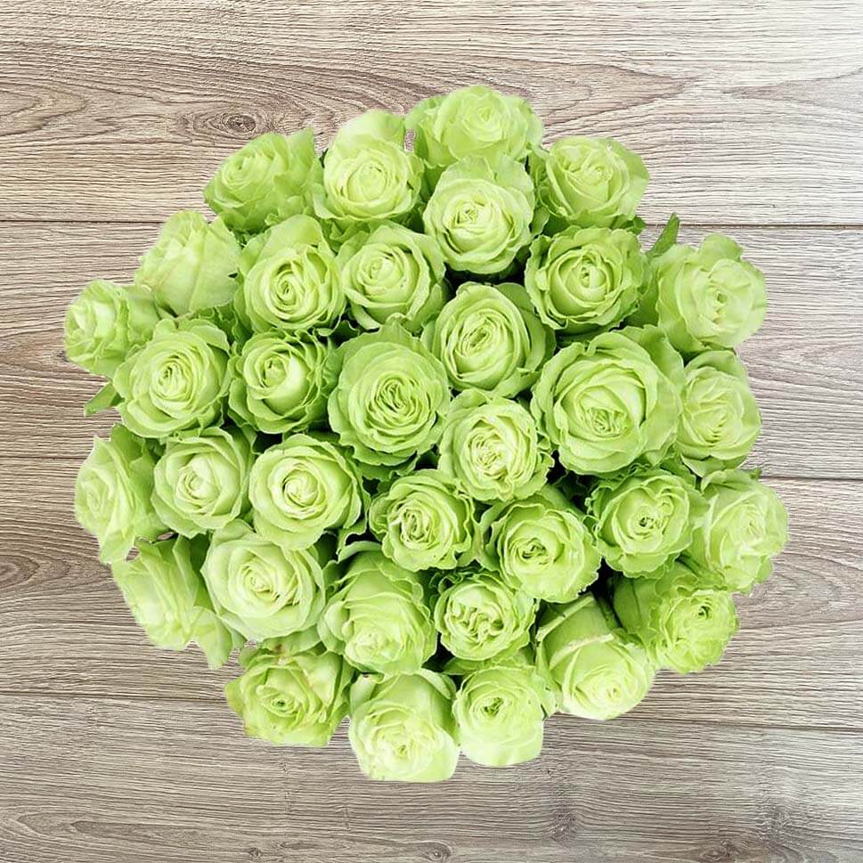 Green Rose Bouquets | Green Roses Delivery – Rosaholics, image size:969x969
