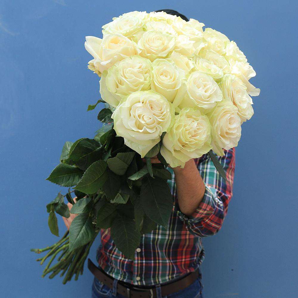 Extra Whte Roses Buy Long Stems Roses Online | Rosaholics