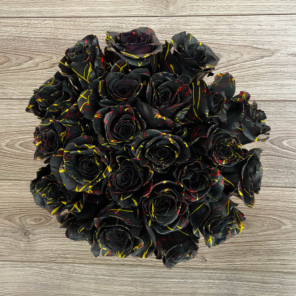 Most Beautiful Black Roses In The World