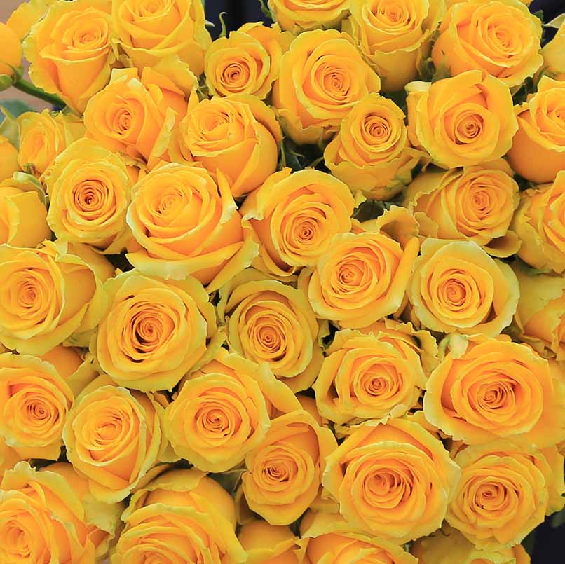 Sunny Fresh Rose Bouquet Box